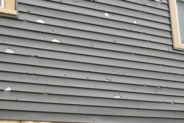 Best Historical Building Siding Restoration  in Oconomowoc, WI