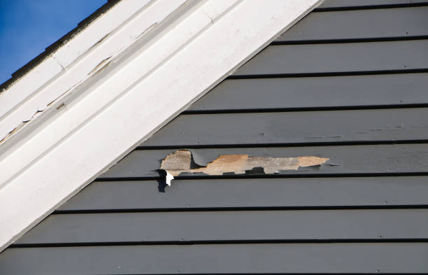 Best Siding Removal and Disposal  in Oconomowoc, WI