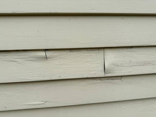 Best Engineered Wood Siding  in Oconomowoc, WI
